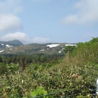 今朝の八幡平