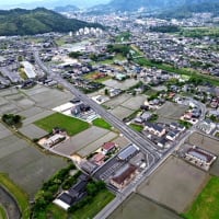 Ｓクミノンでタニシ退治