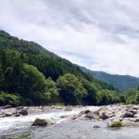 【釣】清流に癒されるも厳しい釣果　（2025/06/28　鮎　大洞川・小坂川）