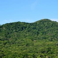 2025.07.06(日)AM07:24の藻岩山・平和祈念塔・手稲山・三角山・円山