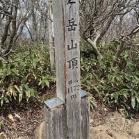 医師とポケモンマスターの二刀流を目指し