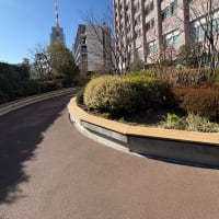 さようなら歩行器さん