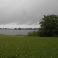 雨の江津湖畔