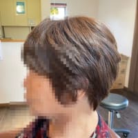 本日、晴天