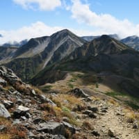 葉月の大暑　【回想】快晴の裏銀座・真砂岳から水晶乗越へ