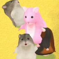 久しぶりの投稿、久しぶりのハム里の写真。