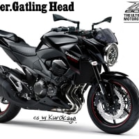 Z800 Ver.Gatling Head - ZZR1400 PHANTOM Ninja 黒影
