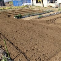 3月もあとわずか…