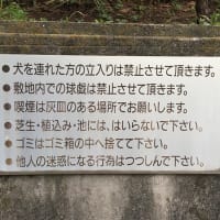 今さらながら釣りマナーのお話