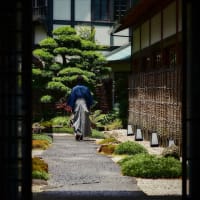 「クールでスリリング」