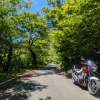 新緑の石鎚ツーリング
