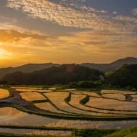 棚田の夕景