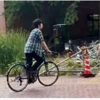 皇室ウイークリー