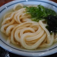 こがね製麺所高知一宮店へ行きたくて