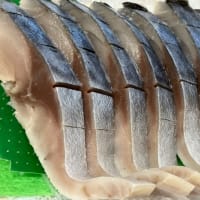 本日（火）はお休み！明日（水）は定休日！！刺身と手作り干物の専門店「発寒かねしげ鮮魚店」