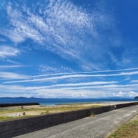 ちょっと気になる