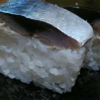 鯖の棒寿司