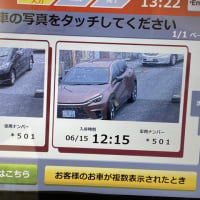 新しい仲間