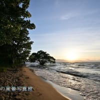 琵琶湖湖岸の夕焼け日没直前