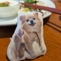 ワンコも店内に入れるのはありがたいね