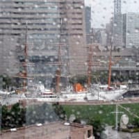 ミニ東京・横浜旅行４