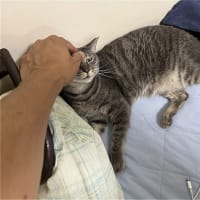 にゅるんｗ