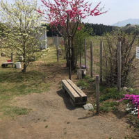 ファミリーパーク筑西通信❣️
