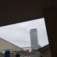 ＧＷ日和４
