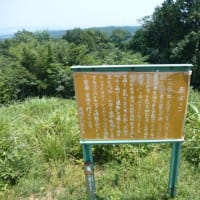 信用できない時代（　＆　老人とニャン　）の巻