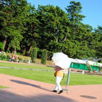 薔薇とカメラと自転車で💗　　～前橋敷島公園ばら園　2024～