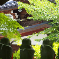 須磨寺
