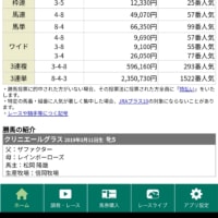 菊花賞の前の🐴が荒れる