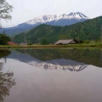 お日様は隠れています。