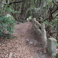 愛南町　高茂岬へ