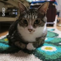 見落としがち