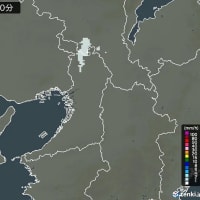 またもや大雨　