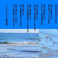 波打ち際