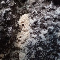 最近の動き