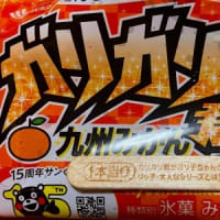 運を使い果たした？