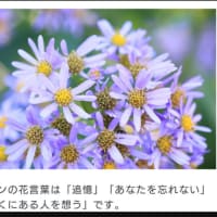 兵庫県西播磨元県民局長さんの　命日