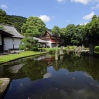 京都　新緑の京都庭園鑑賞