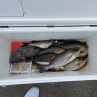 ８日・釣果