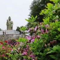 2025 都内の名所めぐり（4月28日）後編（4/28午後　塩船観音寺）