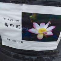 【NPO法人北吉田蓮の郷】