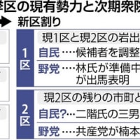 和歌山で、自民党の次期衆院選小選挙区の候補者がいなくなり、県連が候補者を選び直す異例の事態となっている