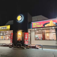 カレーハウス CoCo壱番屋 豊川御油町店　ホロ肉ドカンとガーリック＆ペッパーカレー（肉塊 LEVEL４）２辛＋ヤサイサラダ