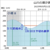 鯵釣り