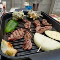 今日は