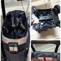 壁の絵を夏用に＆スワニーキャリーバッグを買ったけど返品