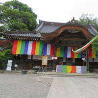 母の日の深大寺　